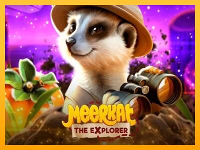 Meerkat machine à sous pour de largent