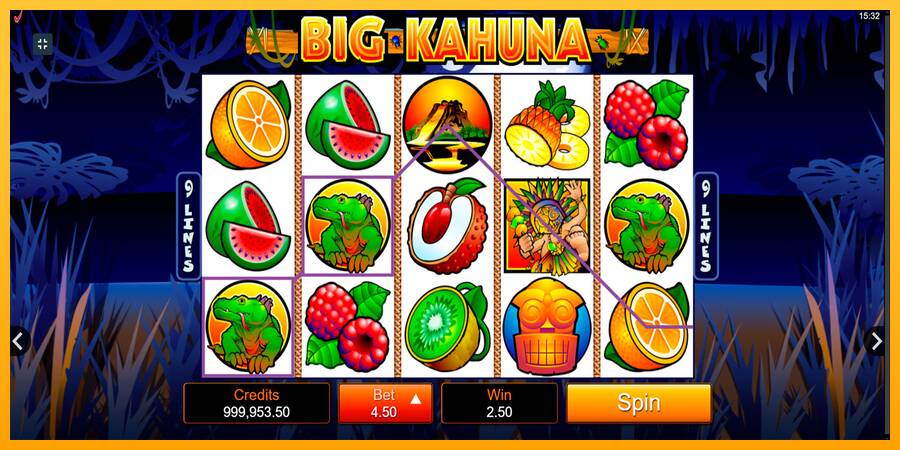 Big Kahuna machine à sous pour de largent, image 2