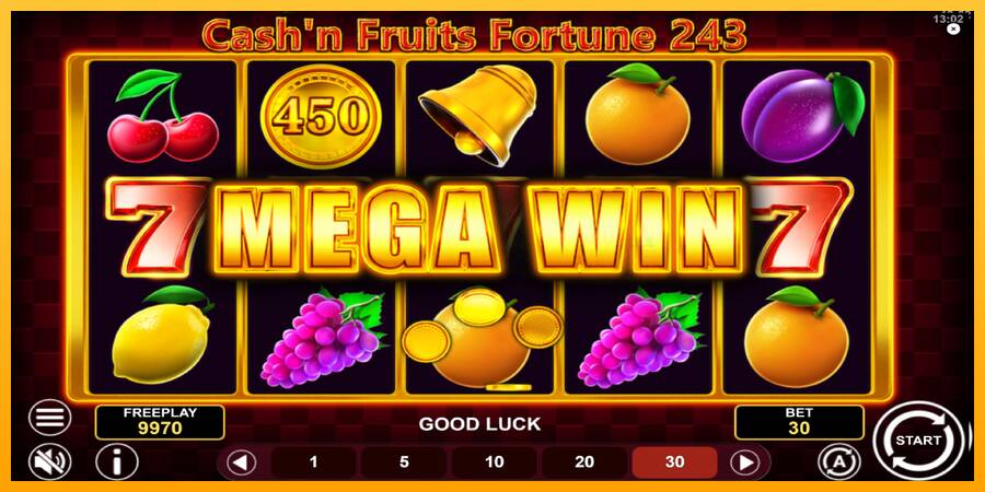 Cashn Fruits Fortune 243 machine à sous pour de largent, image 3