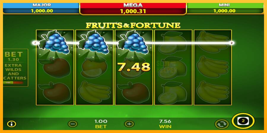 Fruits & Fortune machine à sous pour de largent, image 5