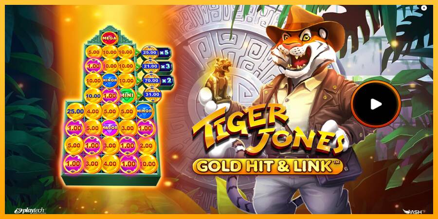 Gold Hit & Link: Tiger Jones machine à sous pour de largent, image 1