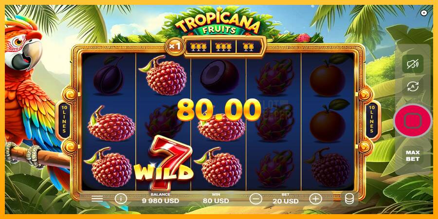 Tropicana Fruits machine à sous pour de largent, image 3